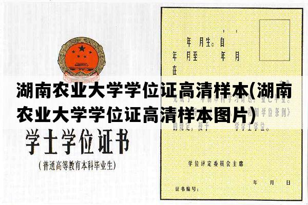 湖南农业大学学位证高清样本(湖南农业大学学位证高清样本图片)