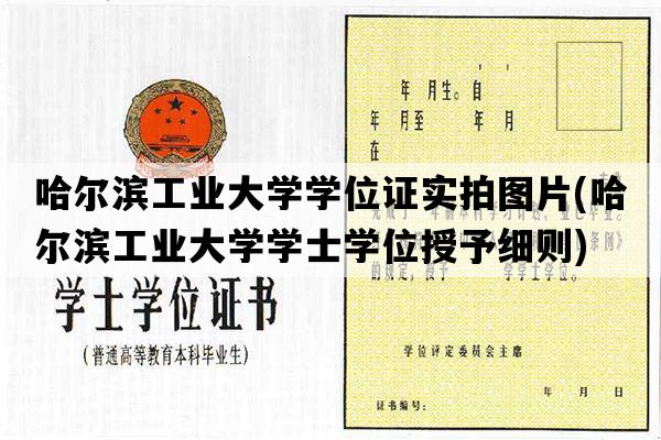 哈尔滨工业大学学位证实拍图片(哈尔滨工业大学学士学位授予细则)