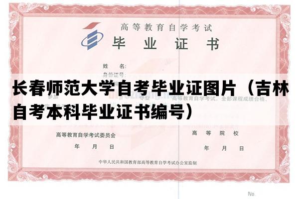 长春师范大学自考毕业证图片（吉林自考本科毕业证书编号）