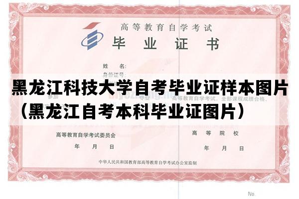 黑龙江科技大学自考毕业证样本图片（黑龙江自考本科毕业证图片）