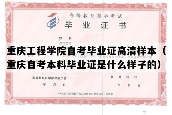 重庆工程学院自考毕业证高清样本（重庆自考本科毕业证是什么样子的）