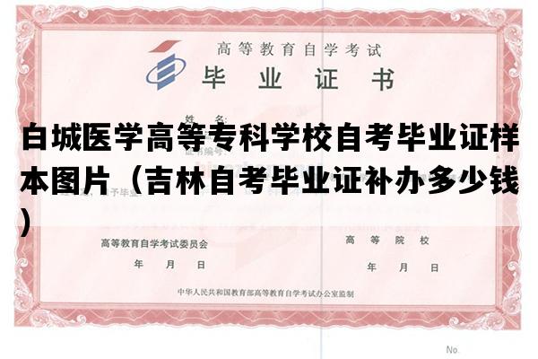 白城医学高等专科学校自考毕业证样本图片（吉林自考毕业证补办多少钱）