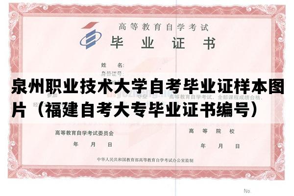 泉州职业技术大学自考毕业证样本图片（福建自考大专毕业证书编号）