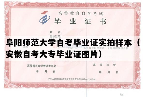 阜阳师范大学自考毕业证实拍样本（安徽自考大专毕业证图片）