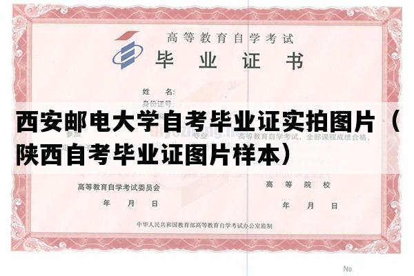 西安邮电大学自考毕业证实拍图片（陕西自考毕业证图片样本）