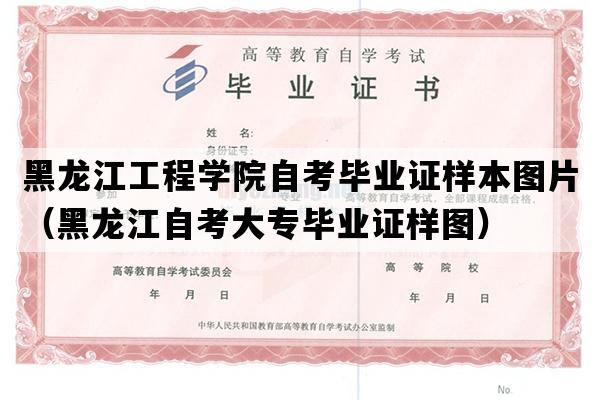 黑龙江工程学院自考毕业证样本图片（黑龙江自考大专毕业证样图）