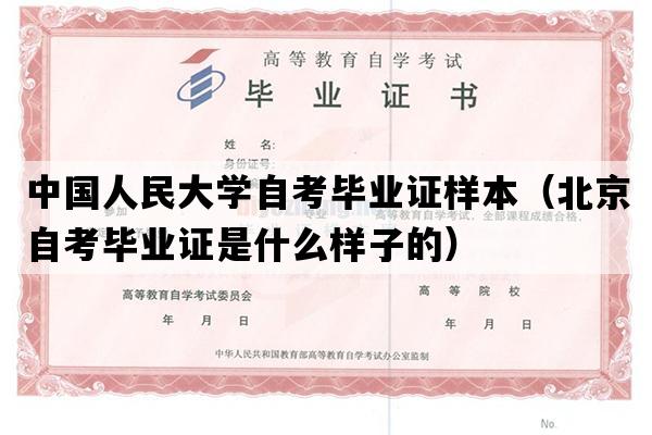 中国人民大学自考毕业证样本（北京自考毕业证是什么样子的）