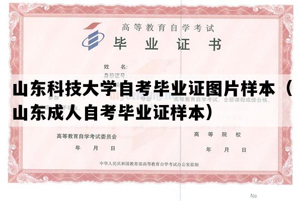 山东科技大学自考毕业证图片样本（山东成人自考毕业证样本）