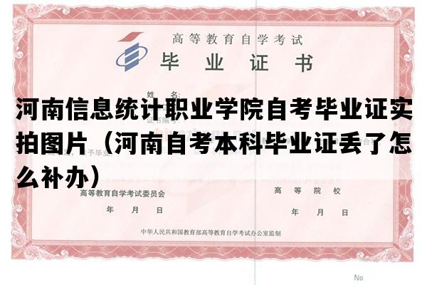 河南信息统计职业学院自考毕业证实拍图片（河南自考本科毕业证丢了怎么补办）