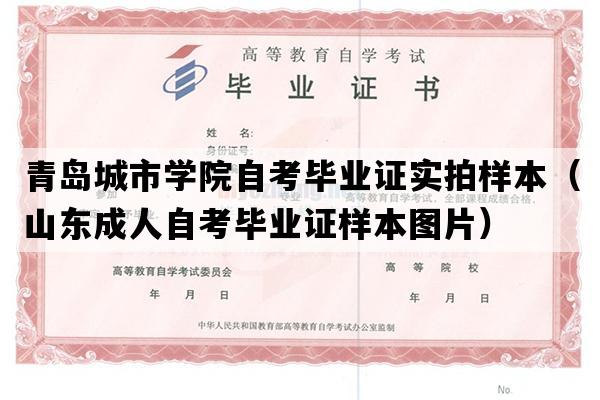 青岛城市学院自考毕业证实拍样本（山东成人自考毕业证样本图片）