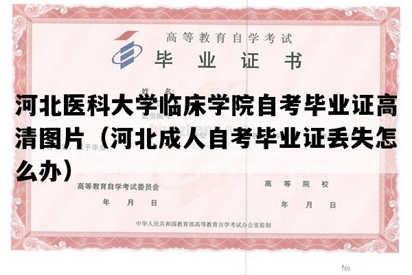 河北医科大学临床学院自考毕业证高清图片（河北成人自考毕业证丢失怎么办）