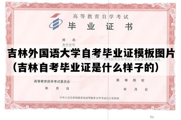 吉林外国语大学自考毕业证模板图片（吉林自考毕业证是什么样子的）