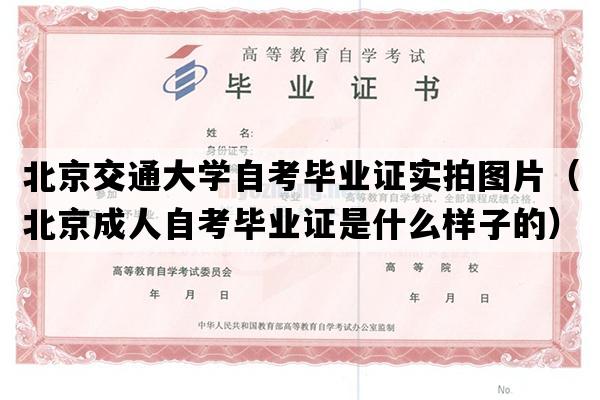 北京交通大学自考毕业证实拍图片（北京成人自考毕业证是什么样子的）