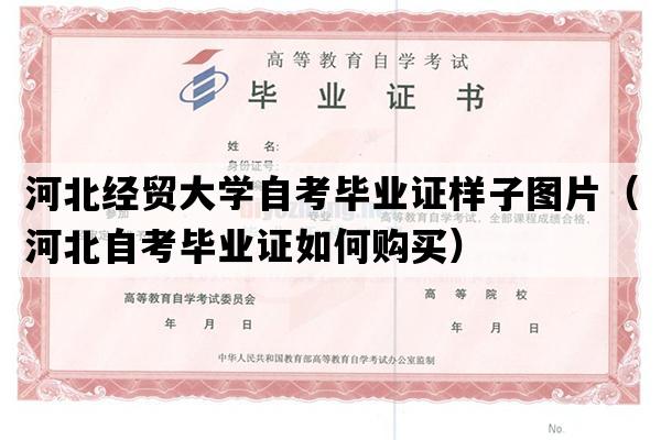 河北经贸大学自考毕业证样子图片（河北自考毕业证如何购买）