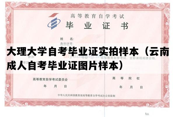 大理大学自考毕业证实拍样本（云南成人自考毕业证图片样本）