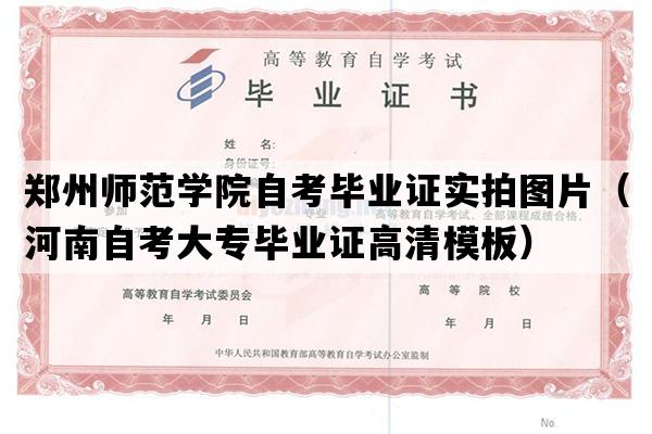 郑州师范学院自考毕业证实拍图片（河南自考大专毕业证高清模板）