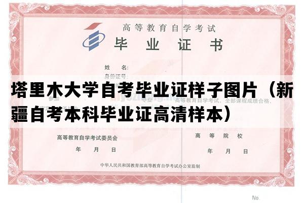 塔里木大学自考毕业证样子图片（新疆自考本科毕业证高清样本）