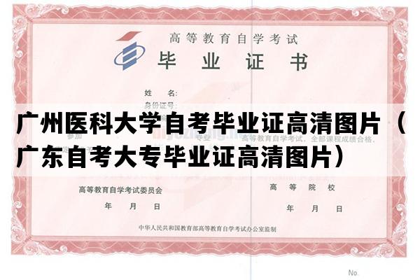 广州医科大学自考毕业证高清图片（广东自考大专毕业证高清图片）