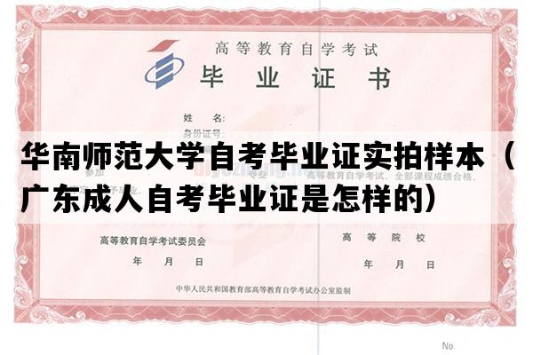 华南师范大学自考毕业证实拍样本（广东成人自考毕业证是怎样的）