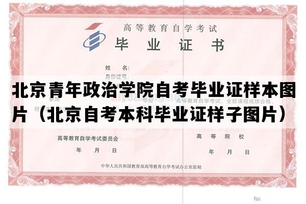 北京青年政治学院自考毕业证样本图片（北京自考本科毕业证样子图片）