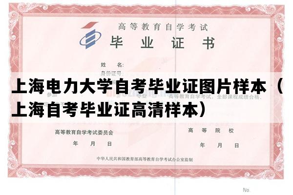 上海电力大学自考毕业证图片样本（上海自考毕业证高清样本）