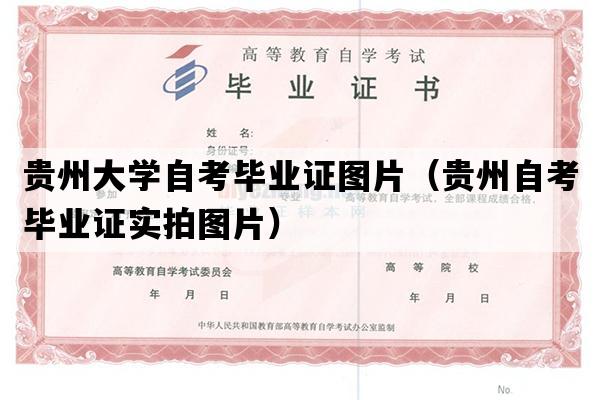 贵州大学自考毕业证图片（贵州自考毕业证实拍图片）