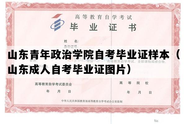 山东青年政治学院自考毕业证样本（山东成人自考毕业证图片）