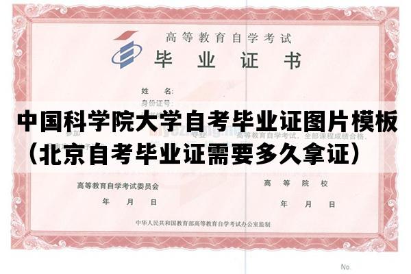 中国科学院大学自考毕业证图片模板（北京自考毕业证需要多久拿证）