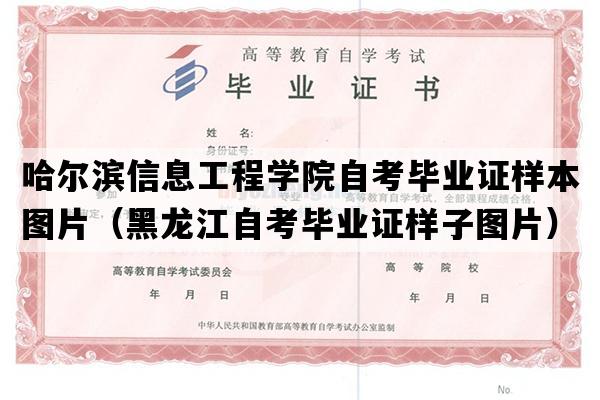 哈尔滨信息工程学院自考毕业证样本图片（黑龙江自考毕业证样子图片）