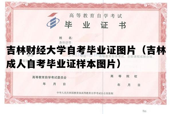 吉林财经大学自考毕业证图片（吉林成人自考毕业证样本图片）