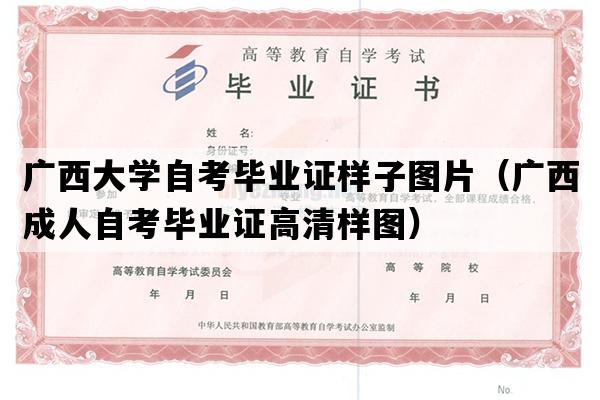 广西大学自考毕业证样子图片（广西成人自考毕业证高清样图）