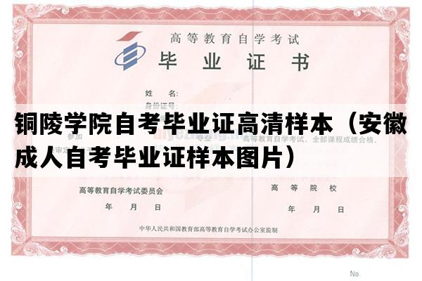 铜陵学院自考毕业证高清样本（安徽成人自考毕业证样本图片）