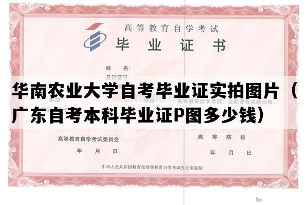 华南农业大学自考毕业证实拍图片（广东自考本科毕业证P图多少钱）