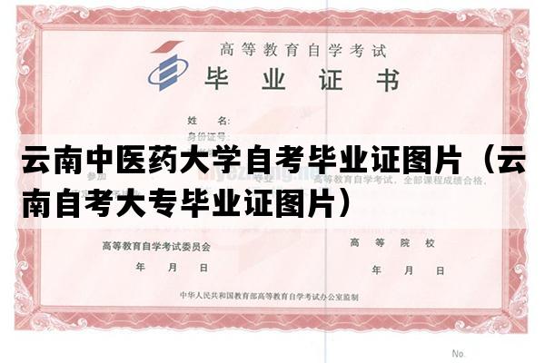 云南中医药大学自考毕业证图片（云南自考大专毕业证图片）