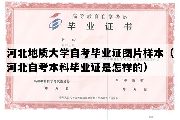 河北地质大学自考毕业证图片样本（河北自考本科毕业证是怎样的）