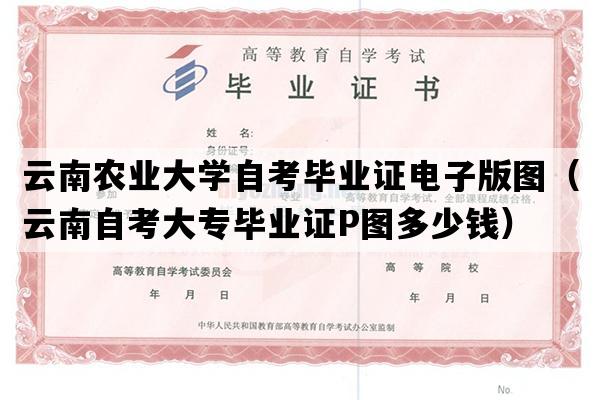 云南农业大学自考毕业证电子版图（云南自考大专毕业证P图多少钱）