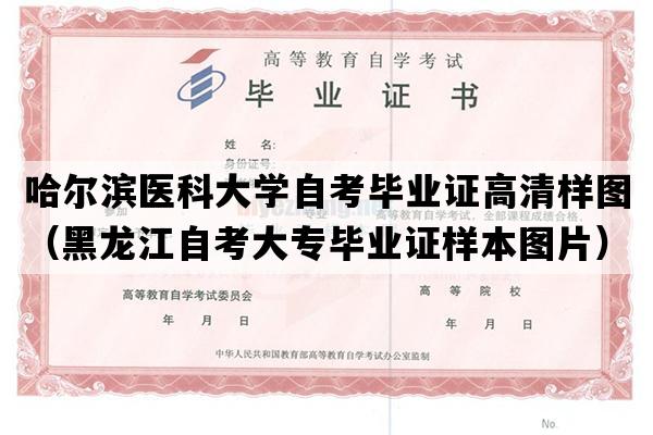 哈尔滨医科大学自考毕业证高清样图（黑龙江自考大专毕业证样本图片）