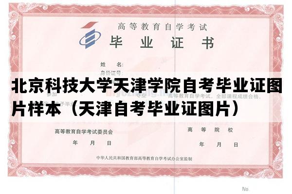 北京科技大学天津学院自考毕业证图片样本（天津自考毕业证图片）