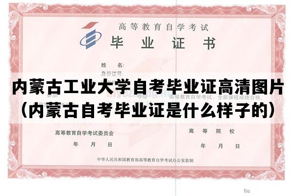 内蒙古工业大学自考毕业证高清图片（内蒙古自考毕业证是什么样子的）