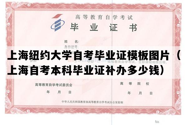 上海纽约大学自考毕业证模板图片（上海自考本科毕业证补办多少钱）