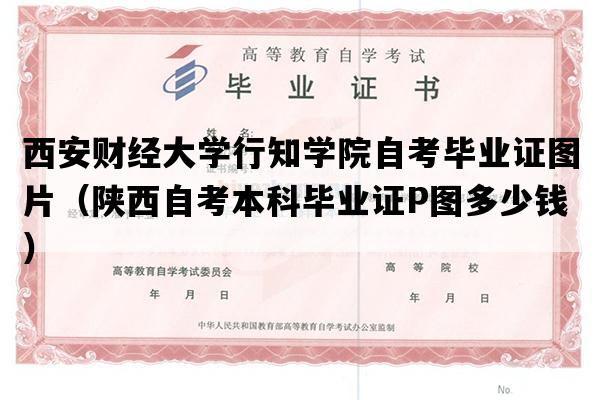 西安财经大学行知学院自考毕业证图片（陕西自考本科毕业证P图多少钱）