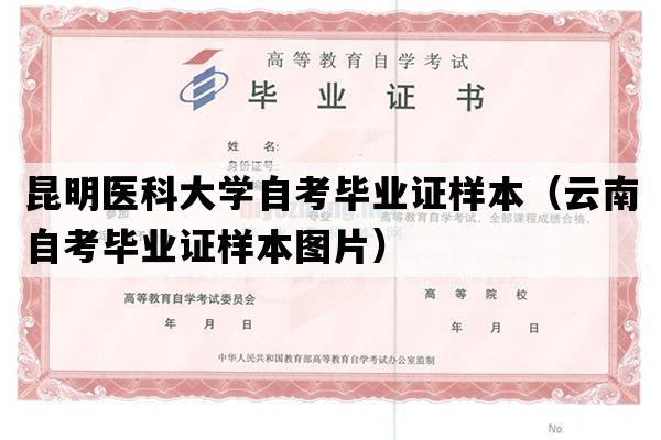 昆明医科大学自考毕业证样本（云南自考毕业证样本图片）