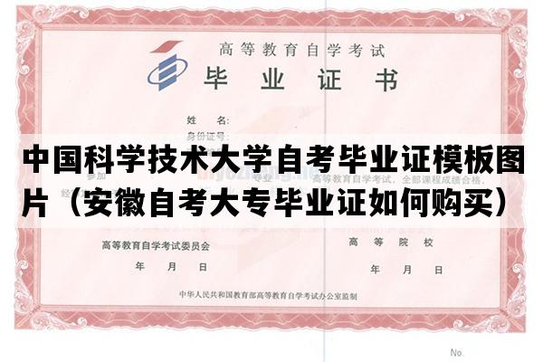 中国科学技术大学自考毕业证模板图片（安徽自考大专毕业证如何购买）