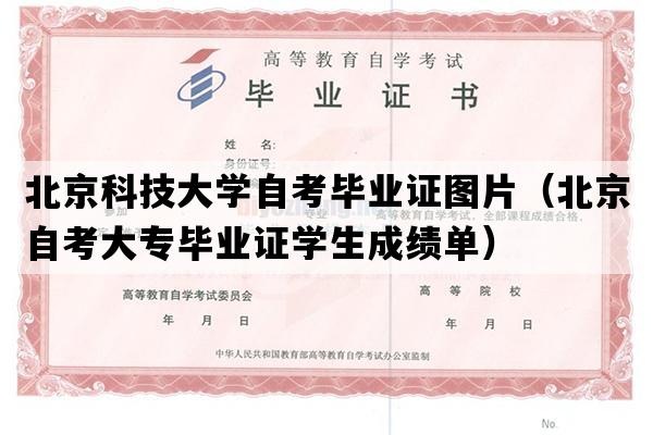 北京科技大学自考毕业证图片（北京自考大专毕业证学生成绩单）