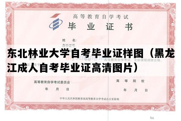 东北林业大学自考毕业证样图（黑龙江成人自考毕业证高清图片）