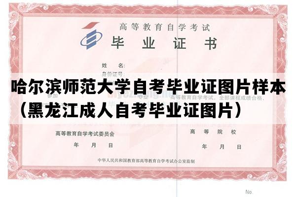 哈尔滨师范大学自考毕业证图片样本（黑龙江成人自考毕业证图片）