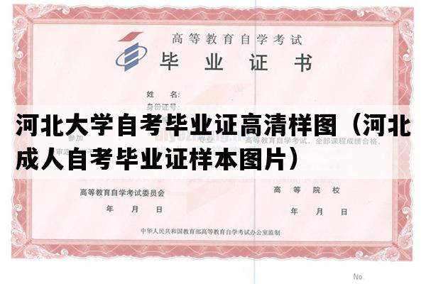 河北大学自考毕业证高清样图（河北成人自考毕业证样本图片）