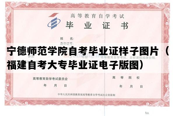 宁德师范学院自考毕业证样子图片（福建自考大专毕业证电子版图）