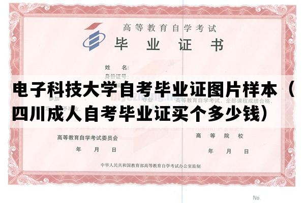 电子科技大学自考毕业证图片样本（四川成人自考毕业证买个多少钱）