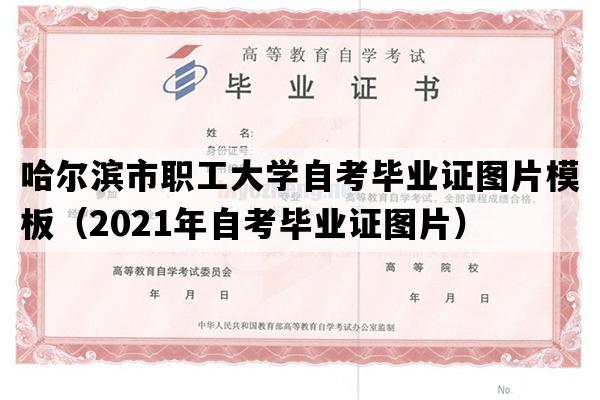 哈尔滨市职工大学自考毕业证图片模板（2021年自考毕业证图片）